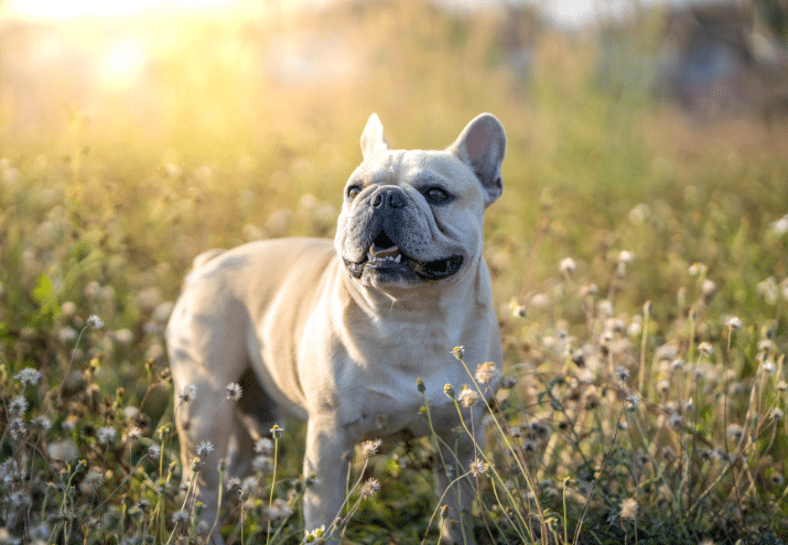 Imagen cabecera post