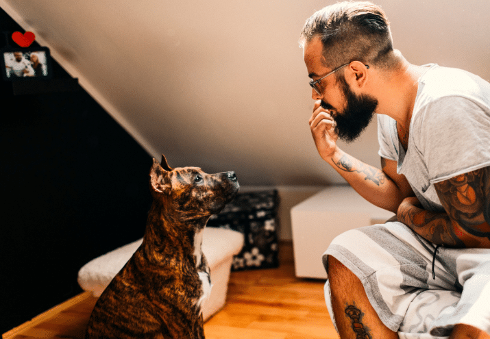 Imagen cabecera post