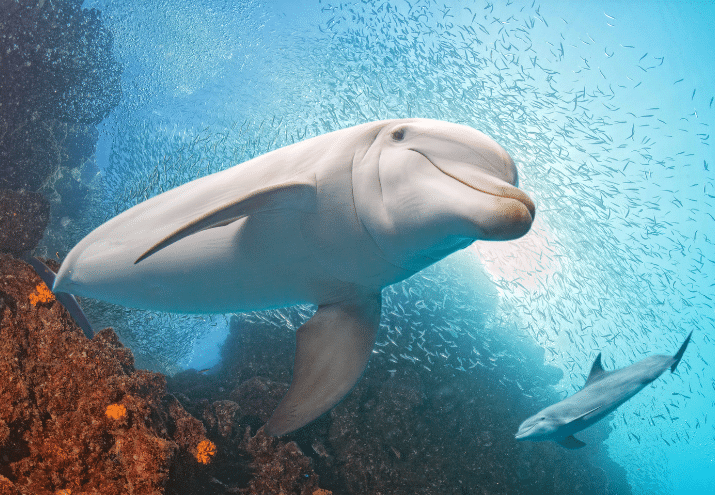 Imagen cabecera post