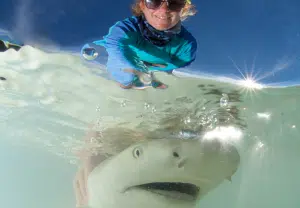 mulher a libertar tubarão no oceano - carreira animais marinhos - Blog Nubika