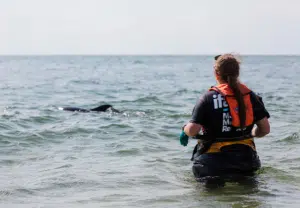 mulher a resgatar animal ferido - carreira animais marinhos