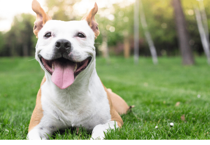 Imagen cabecera post