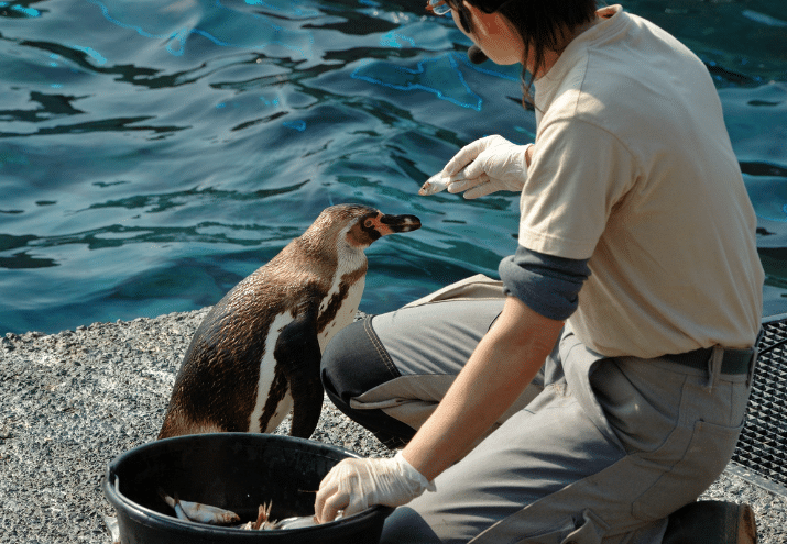 Imagen cabecera post