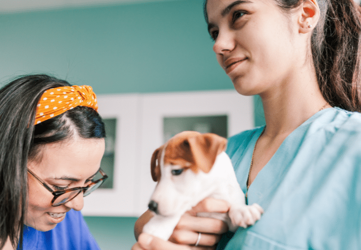 Imagen cabecera post