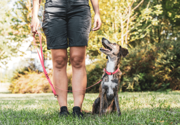 Imagen cabecera post