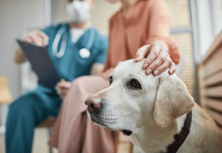 Imagen cabecera post