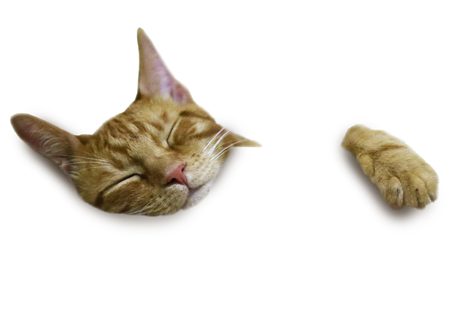 imagen_portada_listado_formaciones