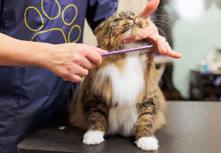 Imagen cabecera post