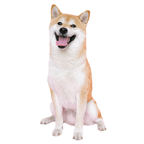 nubika_pt_imagen_cifras_3