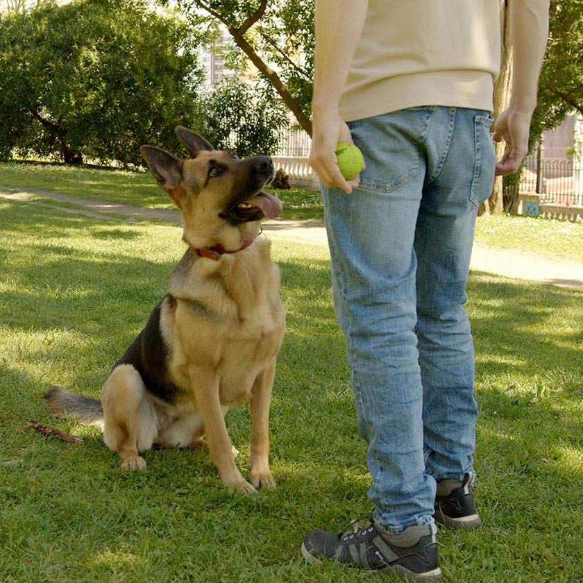 Professores especialistas no ativo
