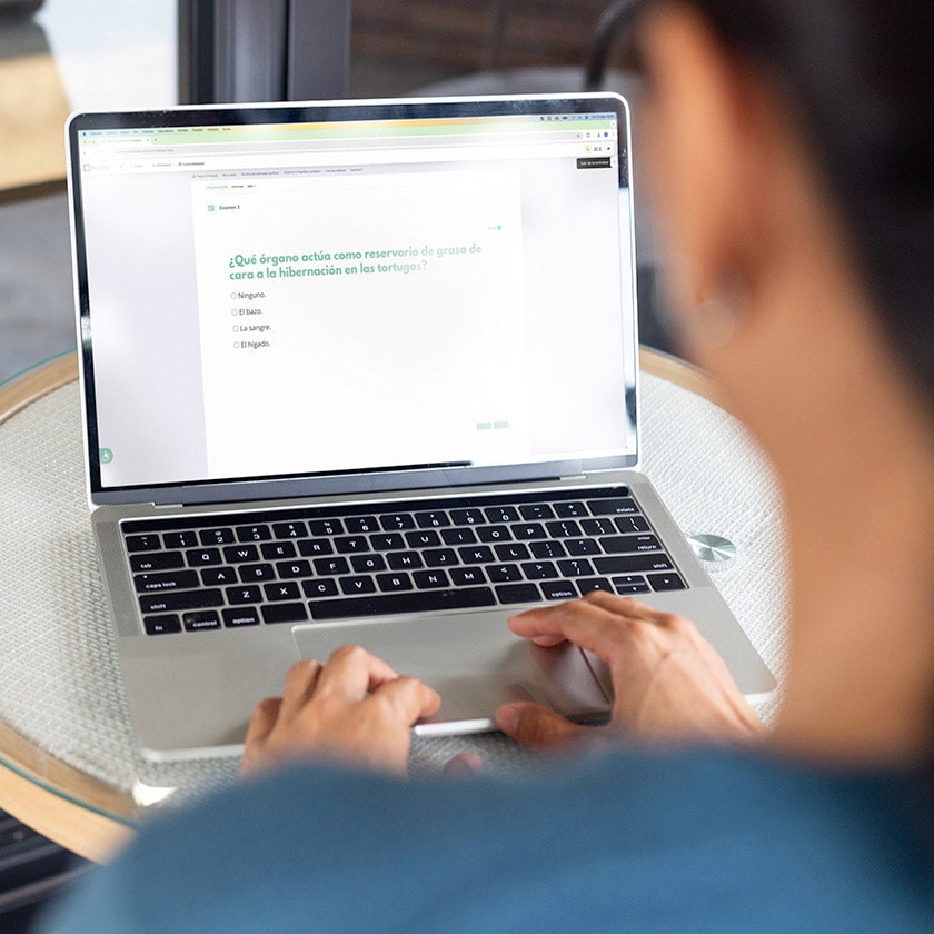 Exame no final do módulo