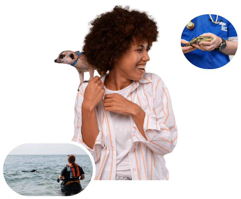 nubika_pt_imagen_portada