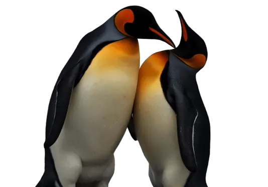 Recurso info escuela