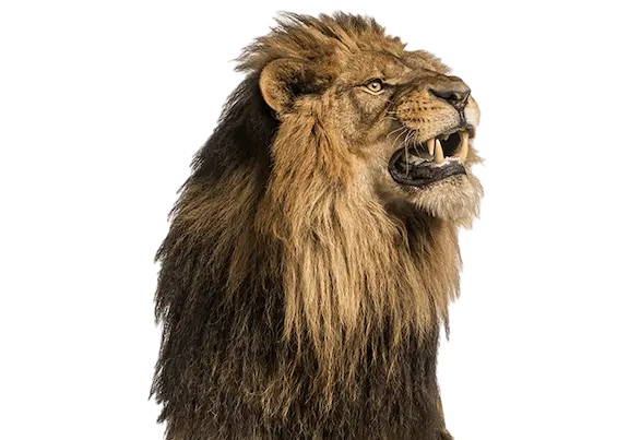 Imagen recurso metodología