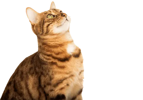 novos alunos por ano