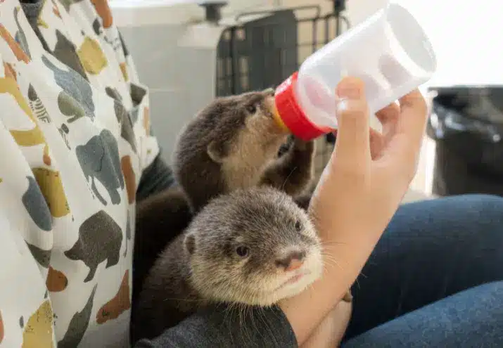 Imagen cabecera post