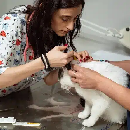 Estágio em empresas