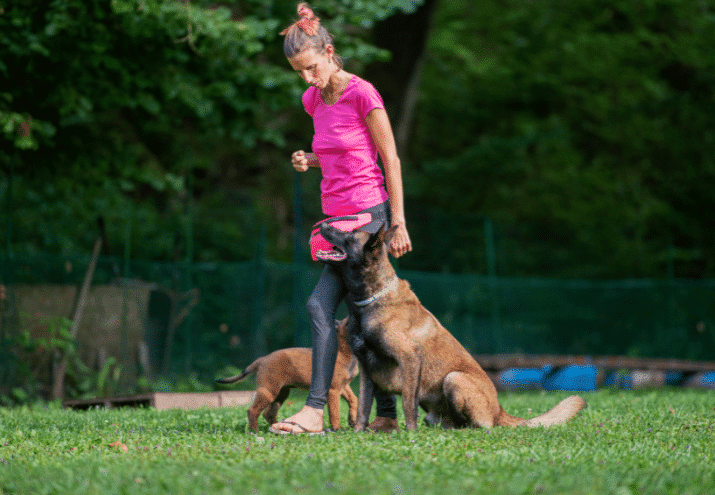 Imagen cabecera post