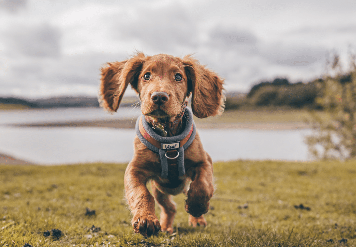 Imagen cabecera post