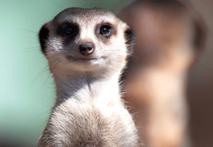 Imagen cabecera post