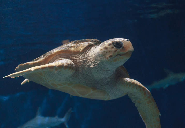 Imagen cabecera post