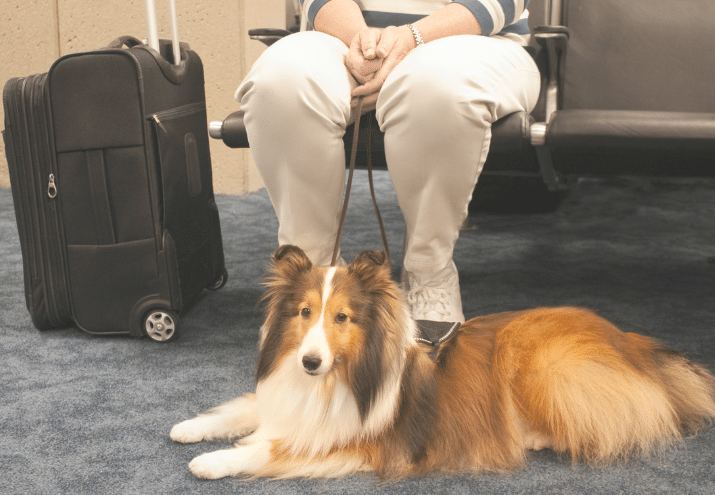 Imagen cabecera post