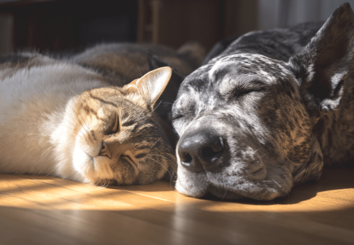 Imagen cabecera post