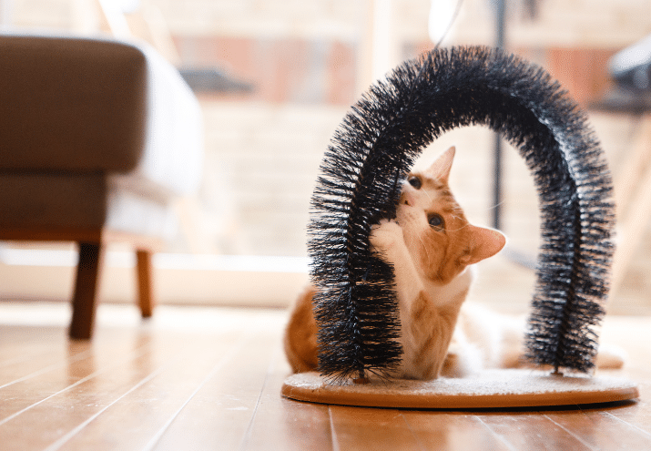 Imagen cabecera post