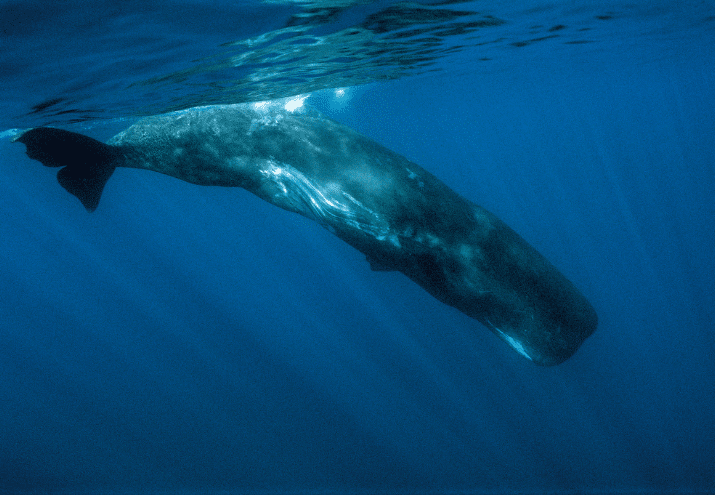 Imagen cabecera post