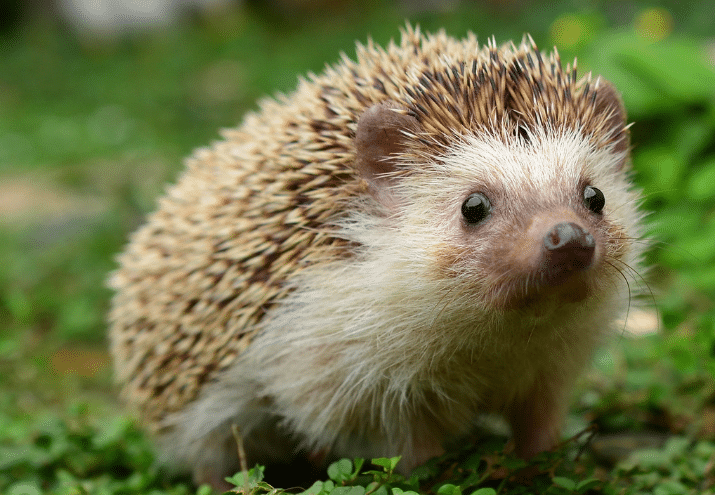 Imagen cabecera post