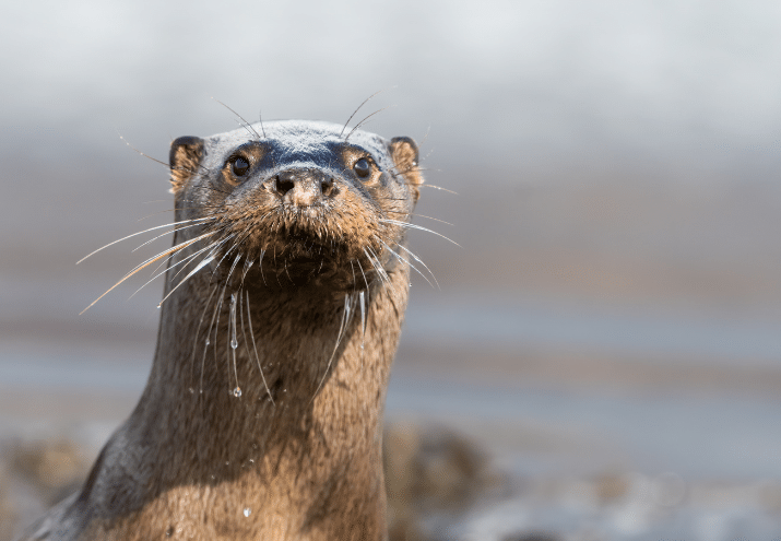 Imagen cabecera post