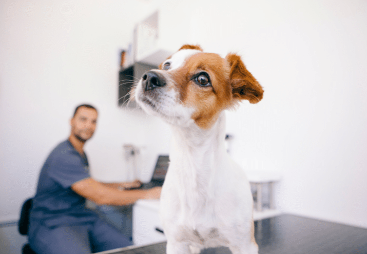 Imagen cabecera post