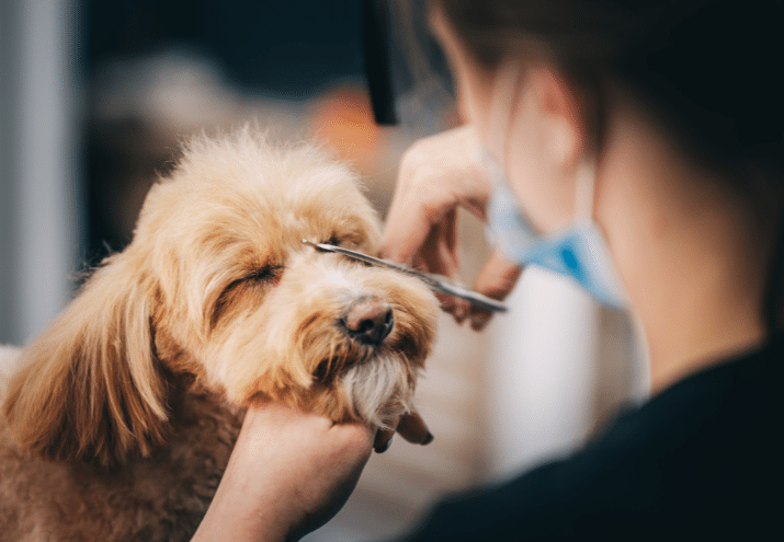 Imagen cabecera post